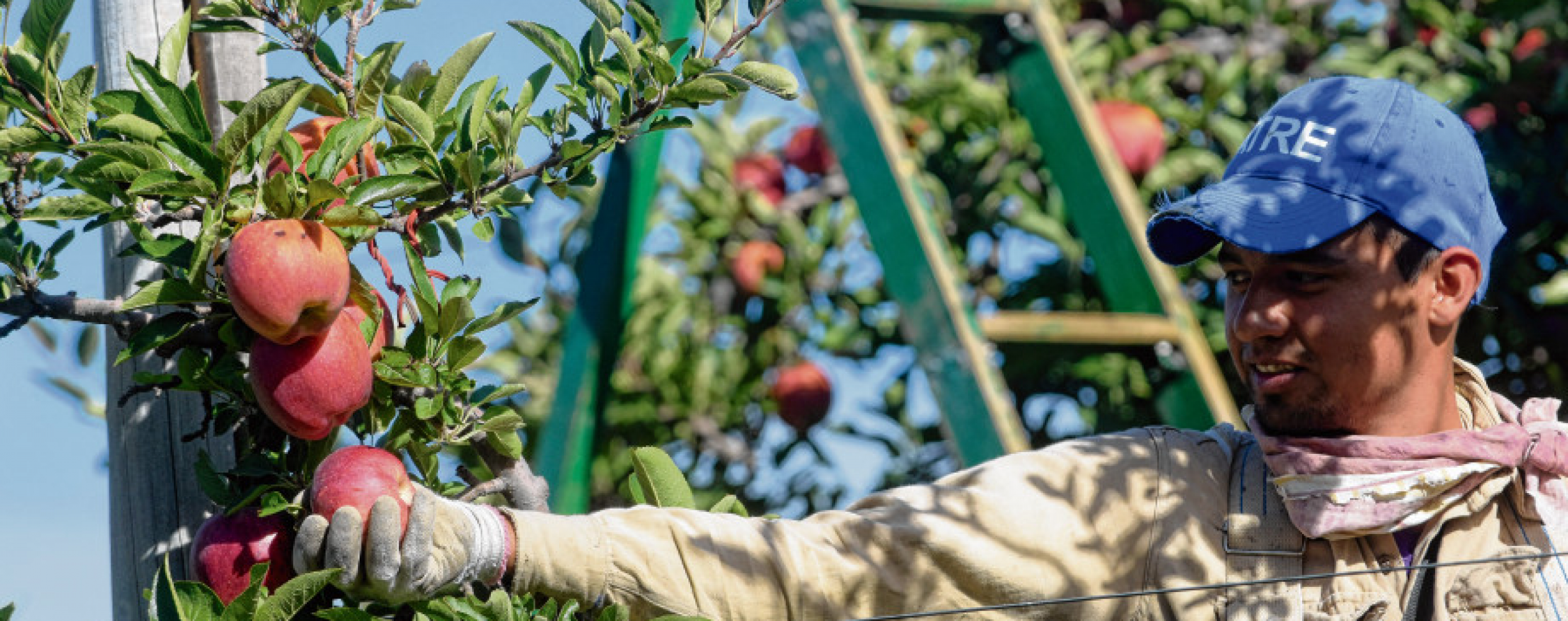 Productores reclaman que en la quita de retenciones se olvidan de las economías regionales