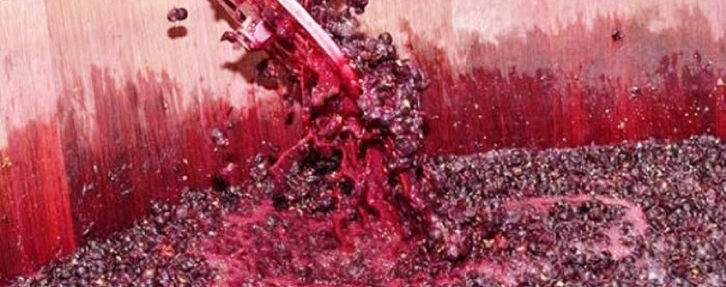 Desde ACOVI insisten en la ley de edulcoración con mosto