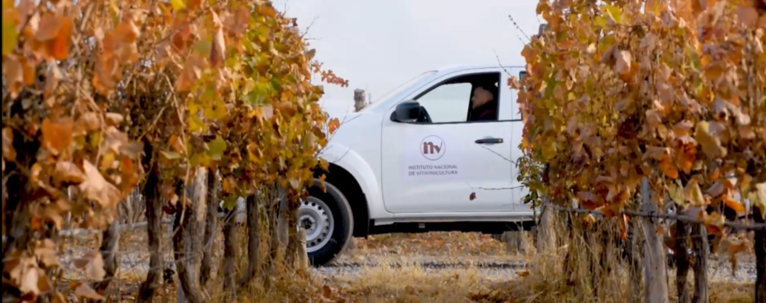 Presentaron un amparo por los cambios en el INV