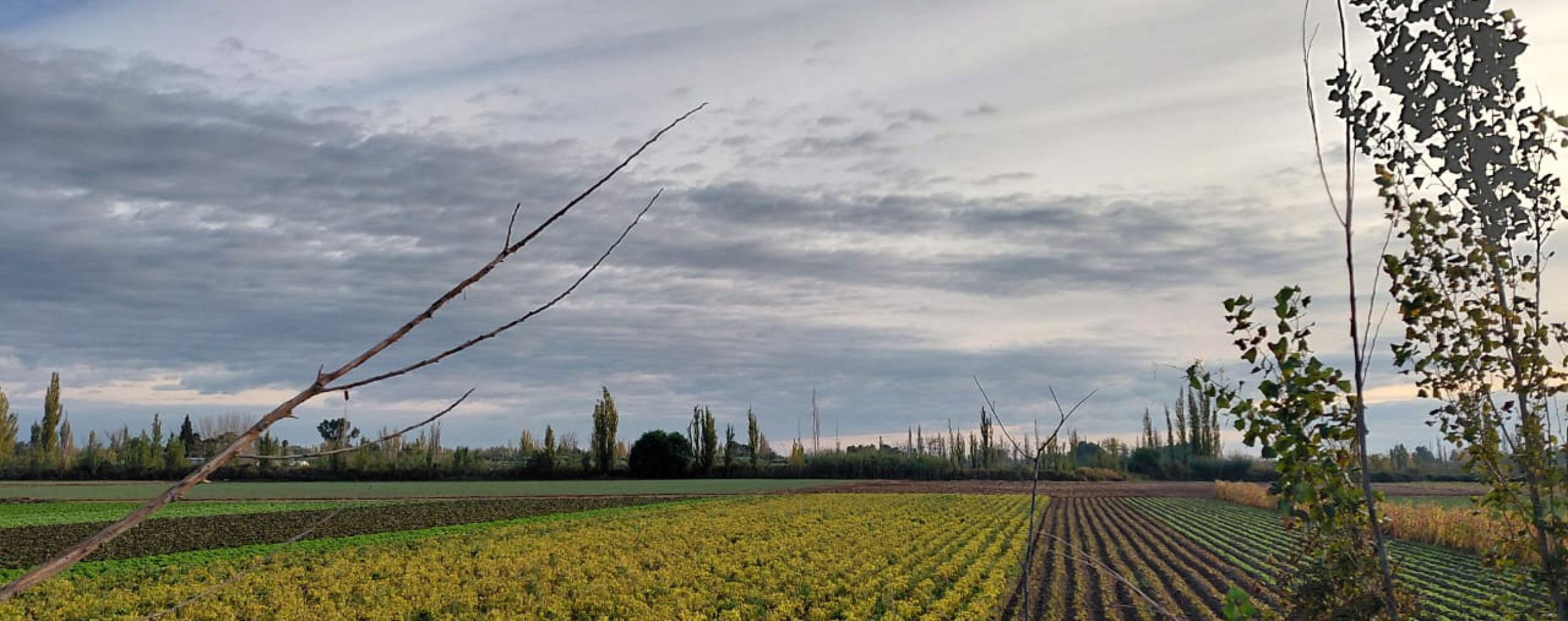 Productores y vecinos de Los Corralitos denuncian una crisis ambiental
