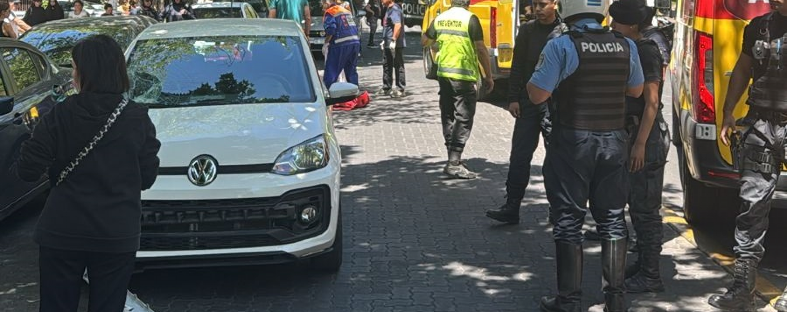 Accidente fatal en Ciudad: "Le temo más a un joven que a una mujer de 82 años"